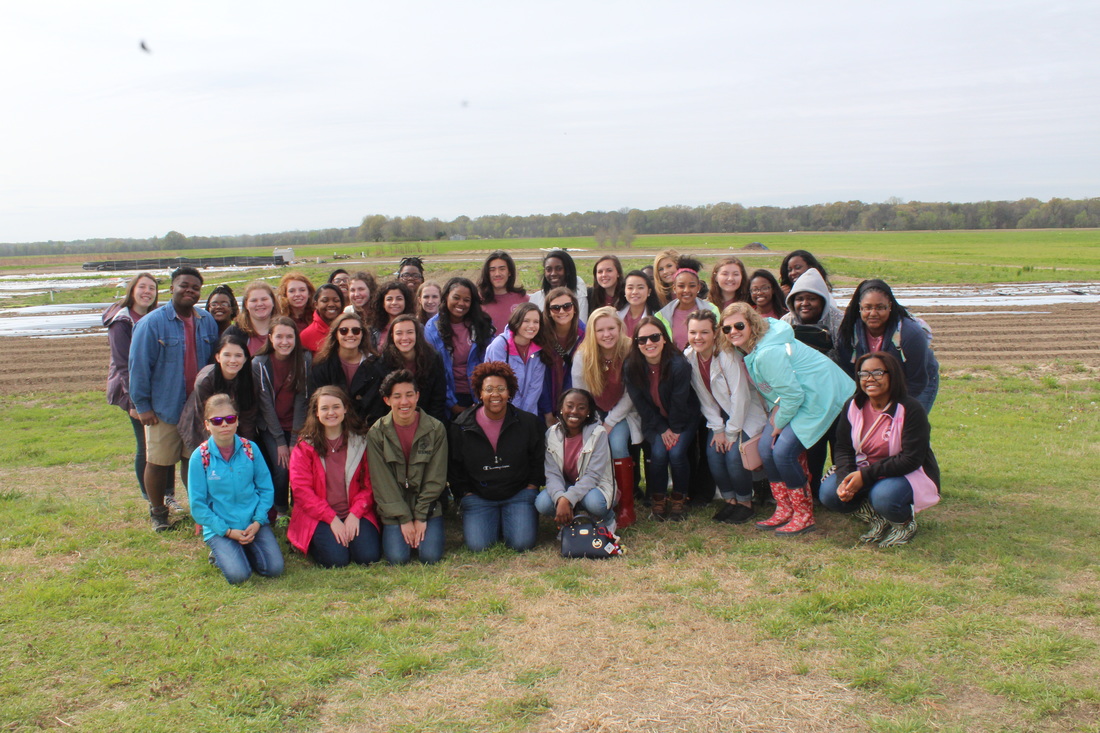 FCCLA visited Roots Academy at Shelby Farms and learned what it takes to became farmers.  They also took a tour of the International Food Market in Cordova and had the opportunity to taste many different foods. In May, they will be voting for officers, so please plan to attend.