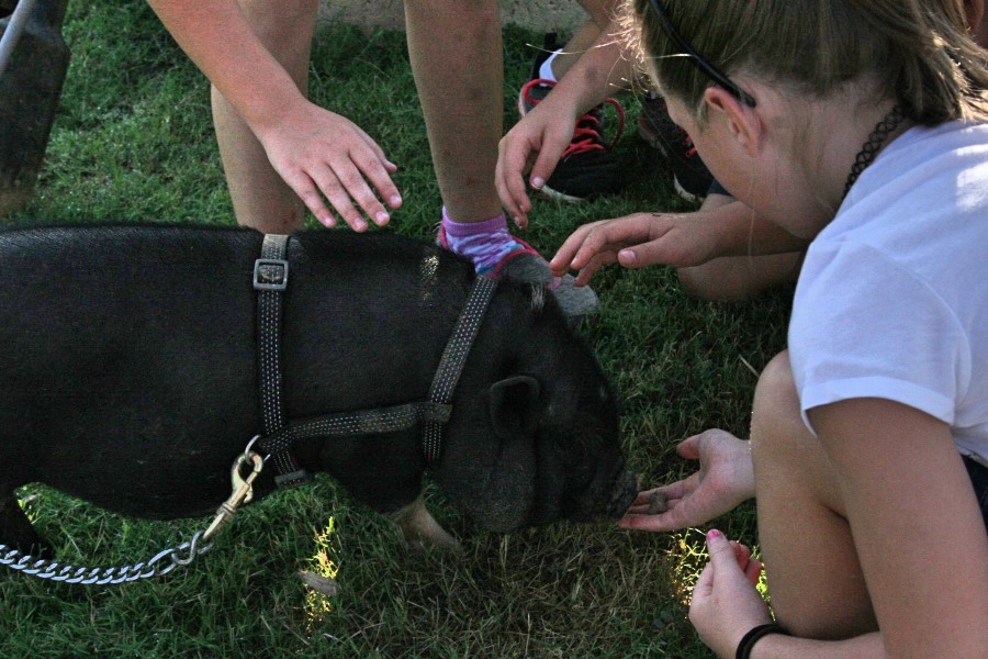Spotlight students from Center Hill Elementary School pet Chuck Boarus during a visit to the CHHS garden.