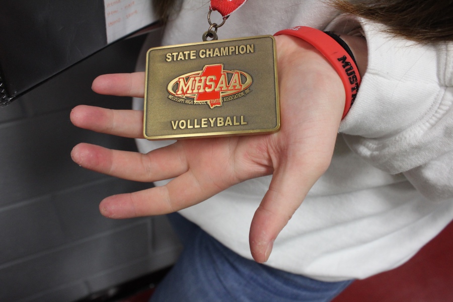 Slideshow: MHSAA Class 5A Volleyball Championship