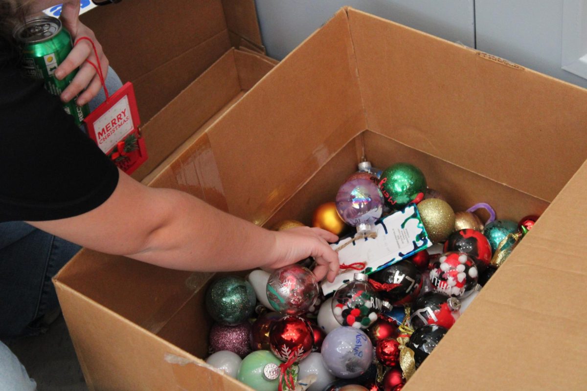 Box of ornaments waiting to be hung.