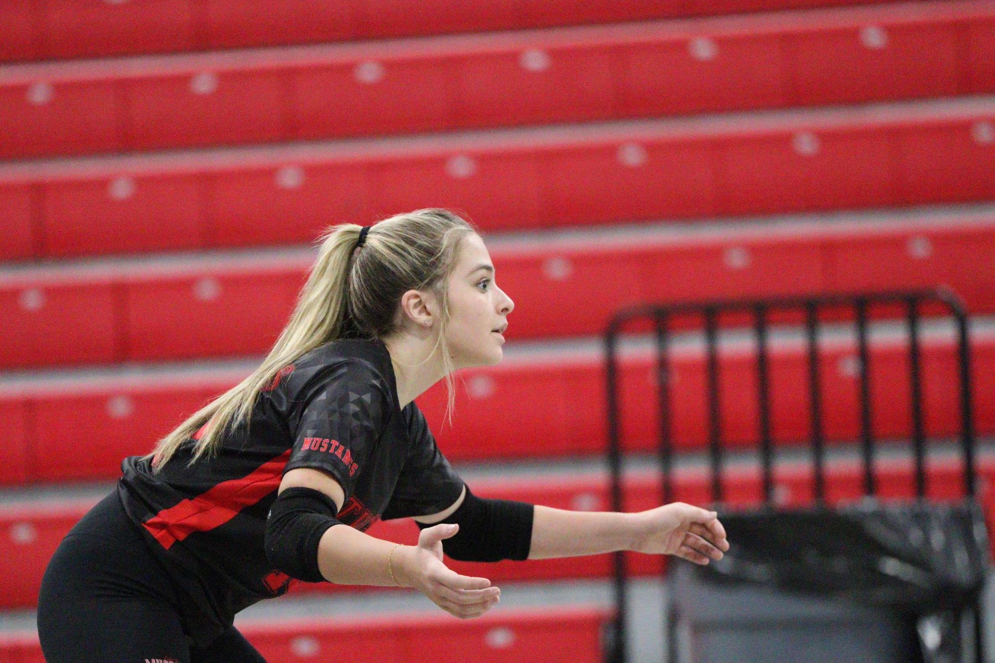 Volleyball falls to Hernando in 1st home game of season.