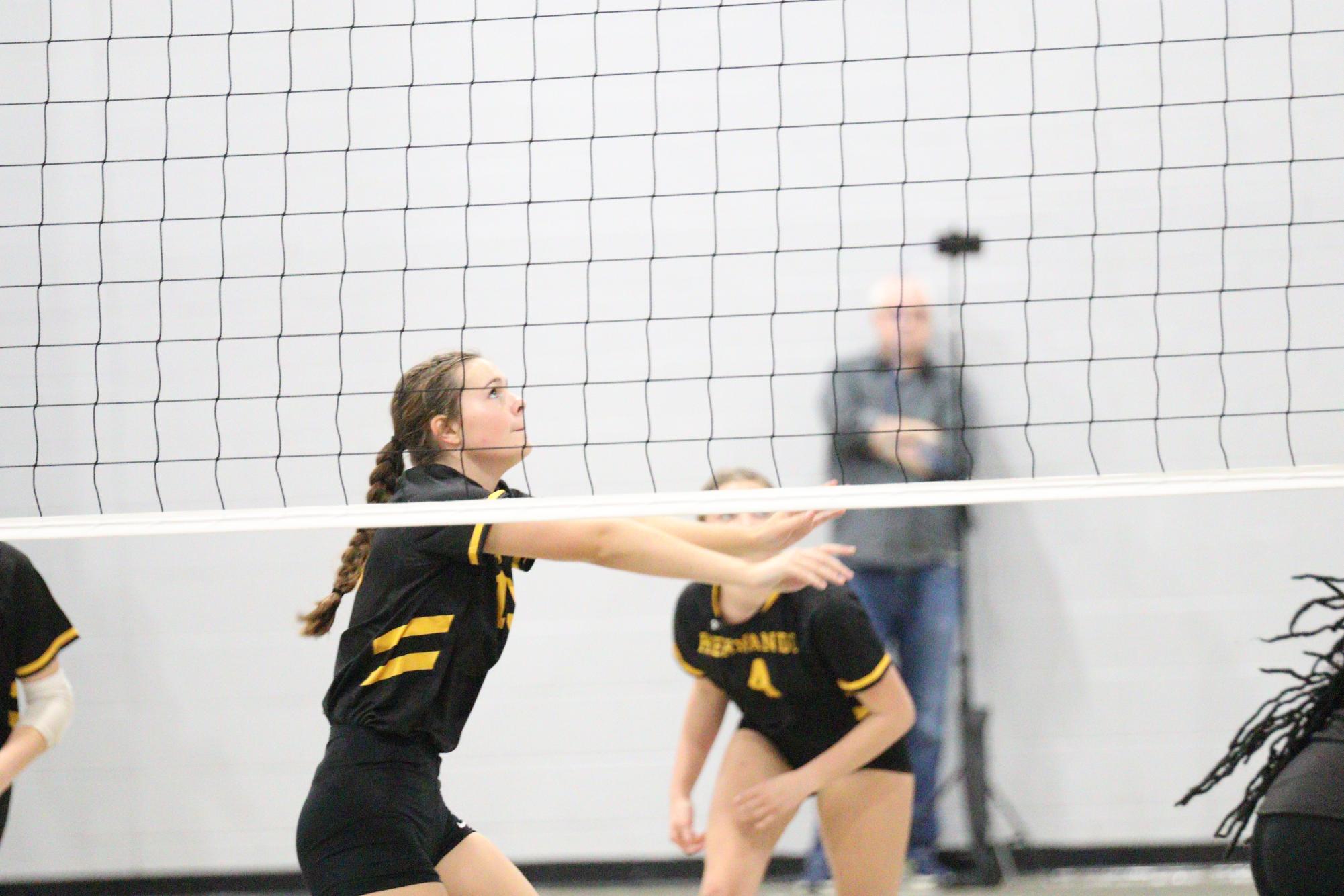 Volleyball falls to Hernando in 1st home game of season.