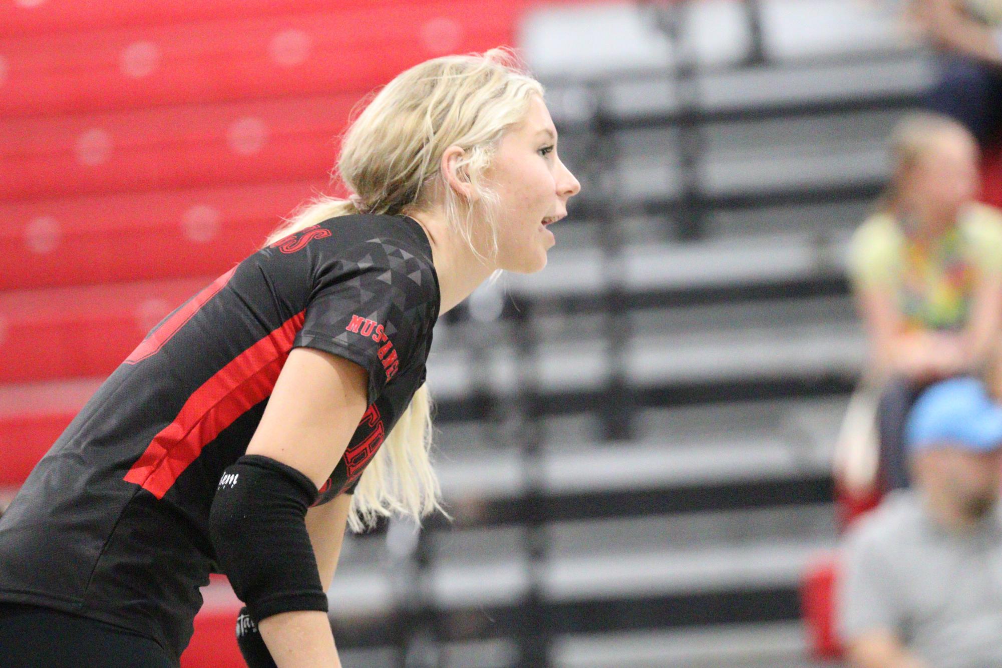 Volleyball falls to Hernando in 1st home game of season.