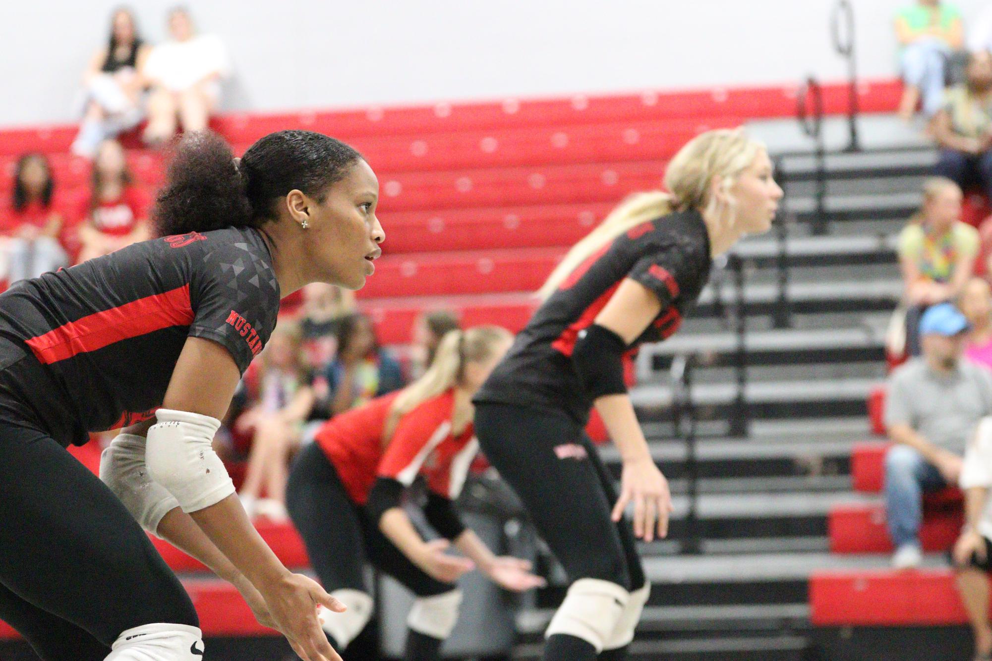 Volleyball falls to Hernando in 1st home game of season.