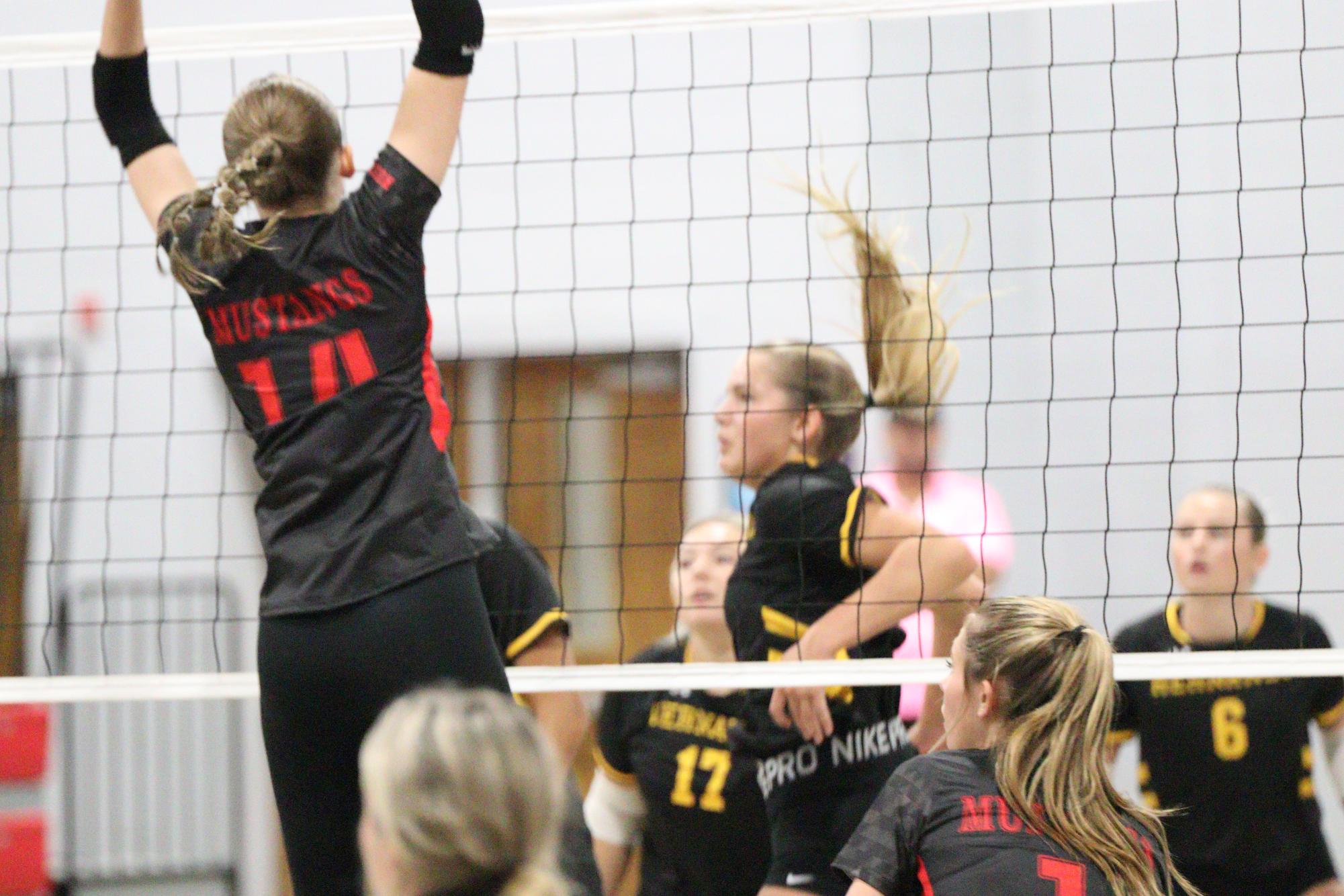 Volleyball falls to Hernando in 1st home game of season.