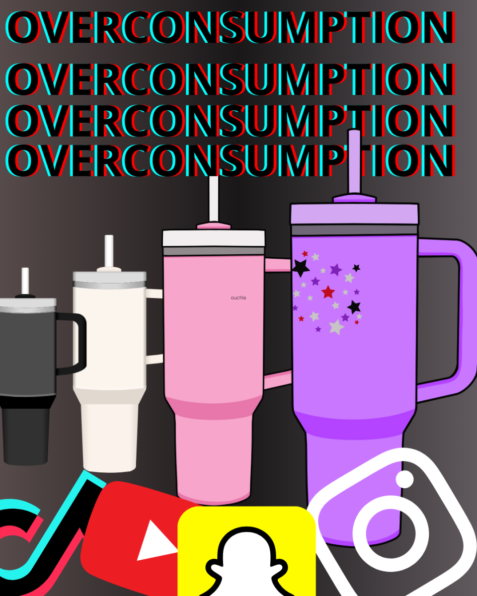 "Overconsumption." Canva, Digital Art, 22. Oct. 2024