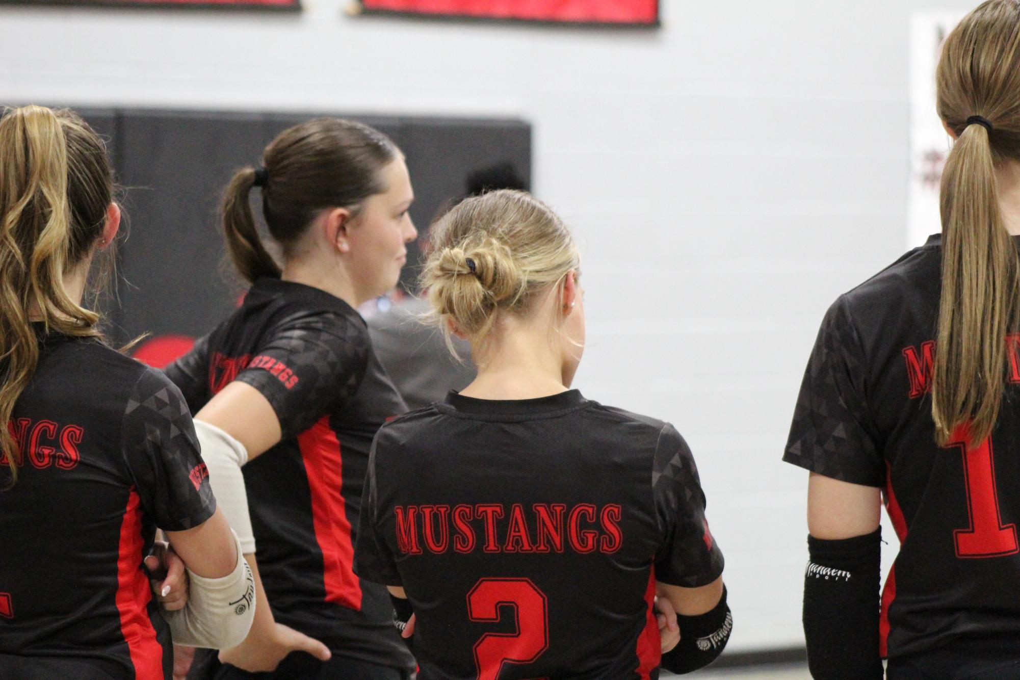 Volleyball celebrates win against South Panola for senior night.