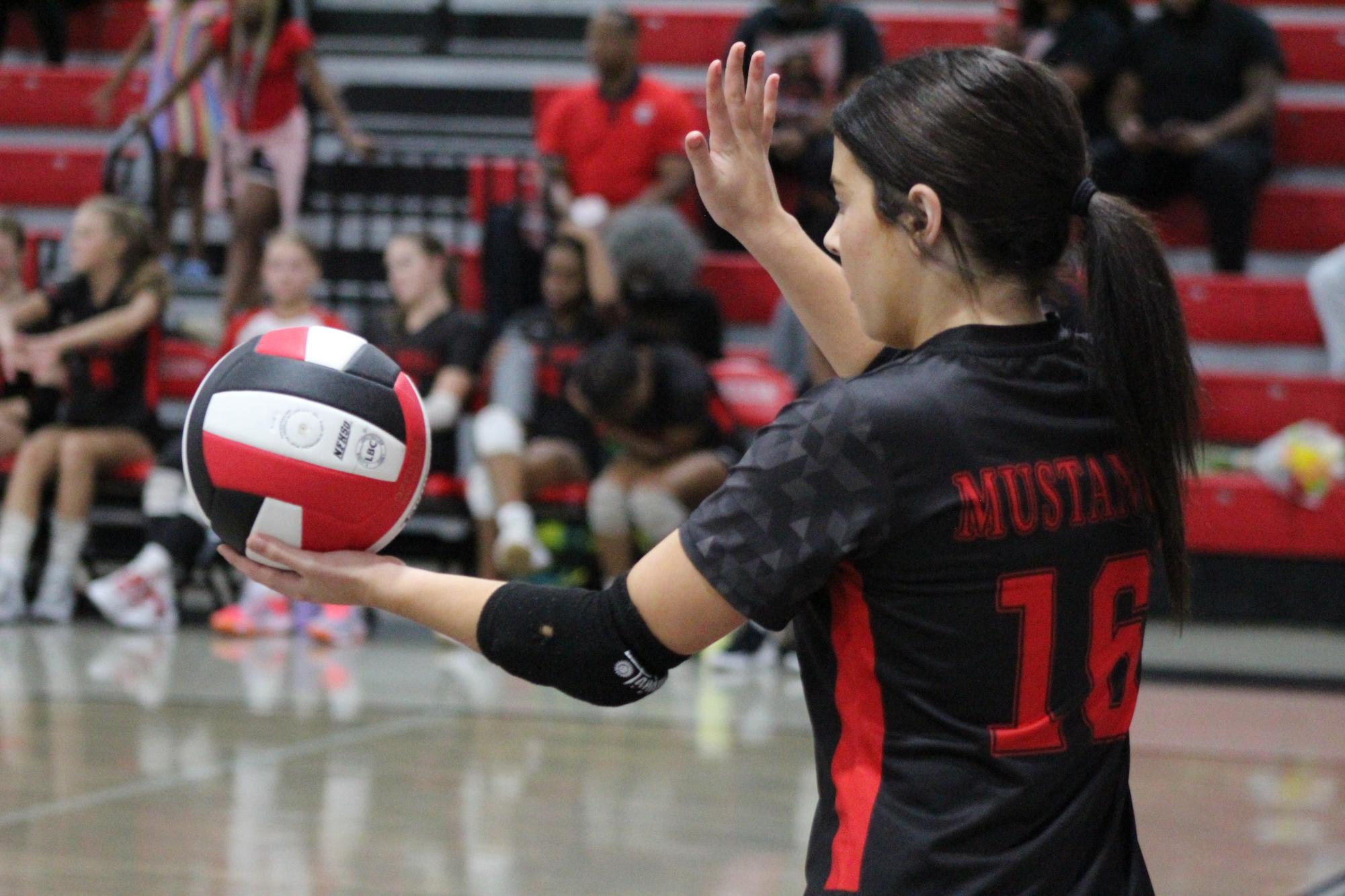 Volleyball celebrates win against South Panola for senior night.