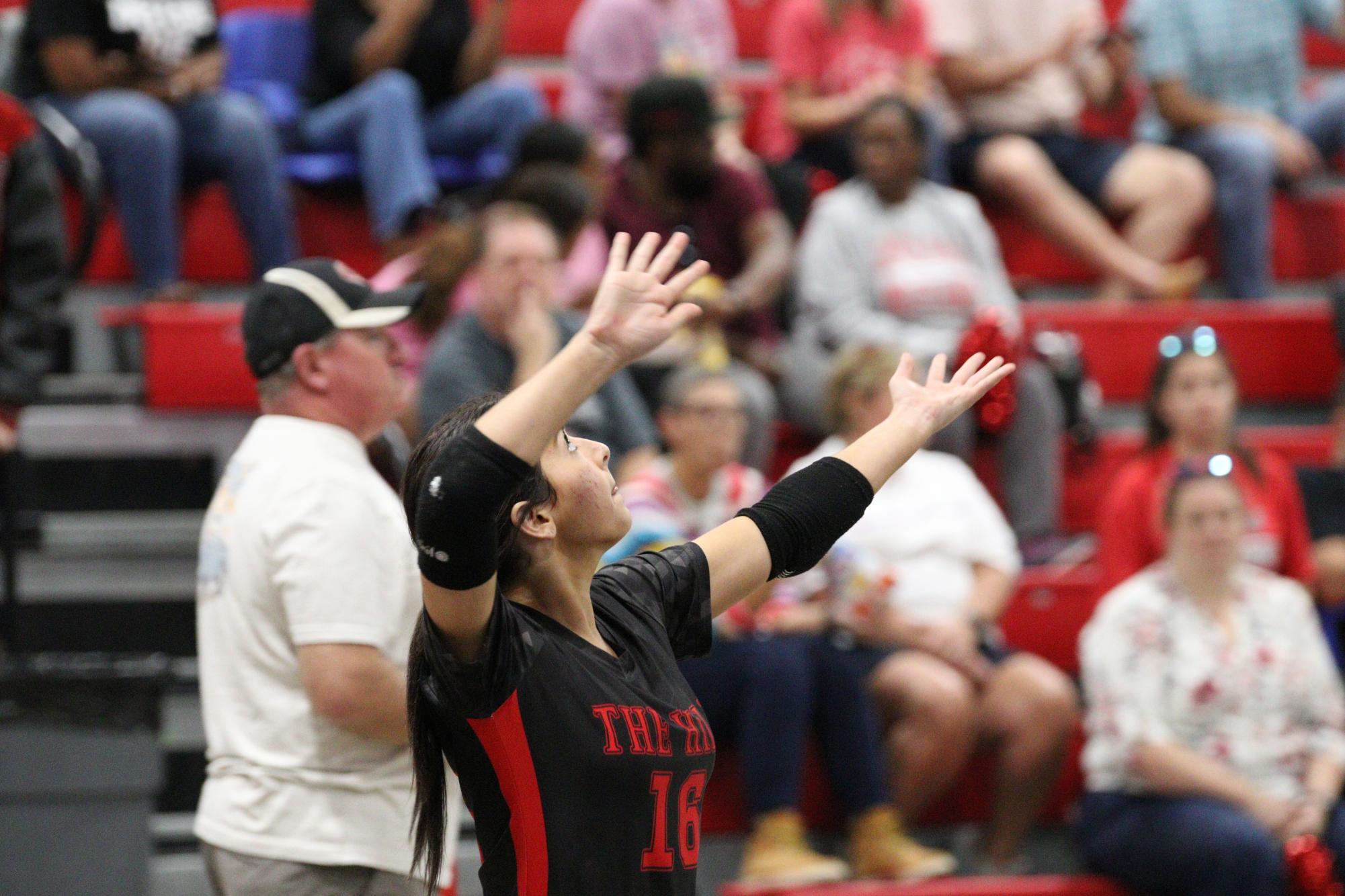 Volleyball celebrates win against South Panola for senior night.